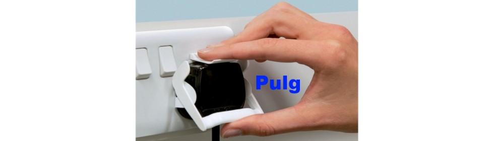 Pulg